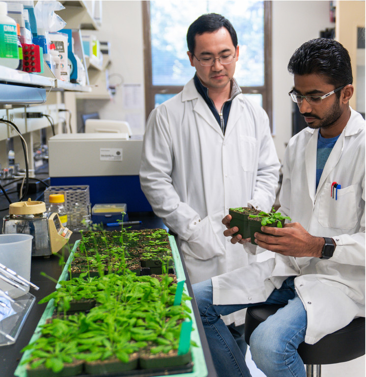 led epigenetics project 